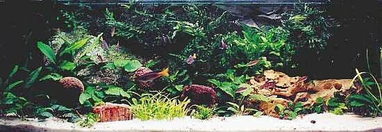 Przykad adnie urzdzonego zbiornika