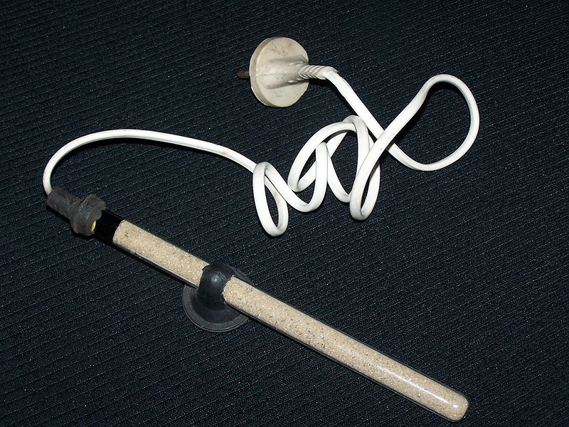 Plik:Grzalka piaskowa.jpg