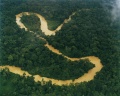 Amazonia-bialewody.jpg