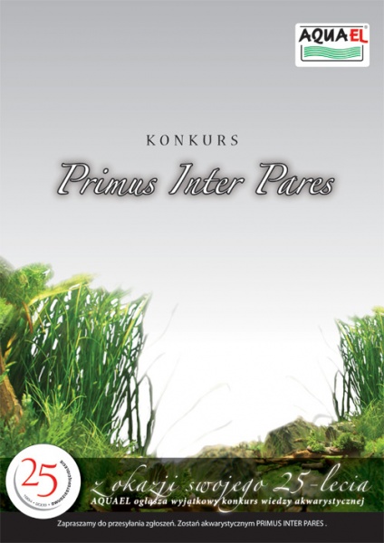 Plik:Konkurs AqueEl.jpg