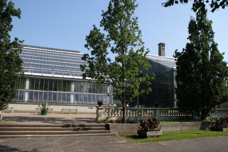 Plik:Palmiarnia 1.jpg