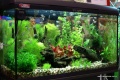 Akwarium 3 PetFair 2009.JPG