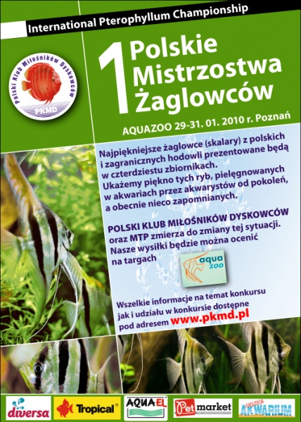 Plik:Mistrzostwa zaglowcow aquazoo 2010.jpg