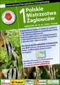 Mistrzostwa zaglowcow aquazoo 2010.jpg