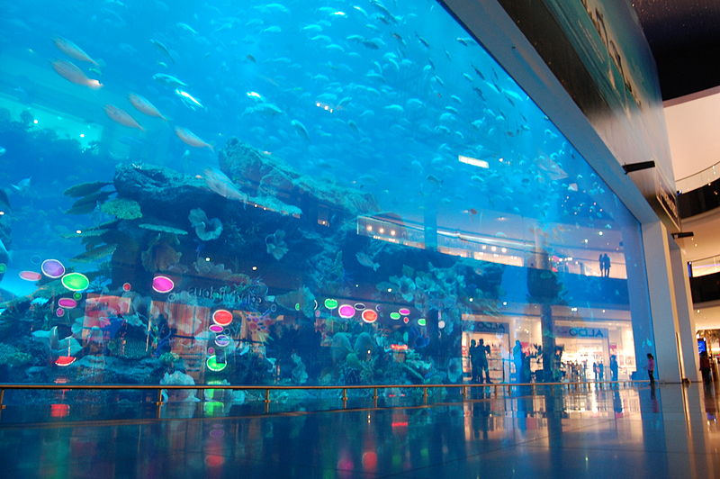 Plik:DubaiMallAquarium.JPG